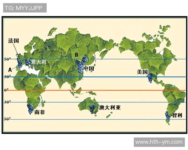 意大利足球文化与地理分布的深度探讨与分析 意大利足球文化与地理分布的深度探讨与分析